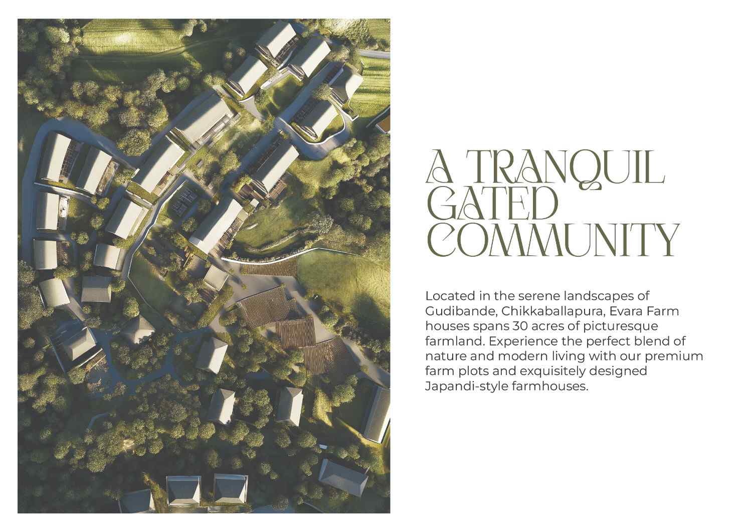 Case Study Image 2